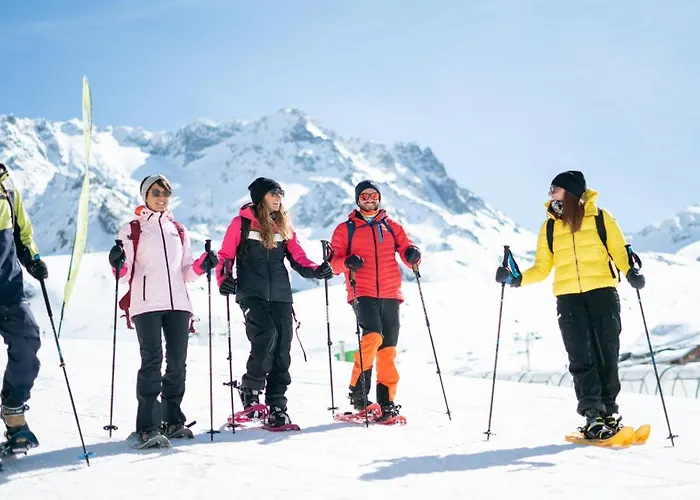 Aparthotel Des Neiges Hermine 4*